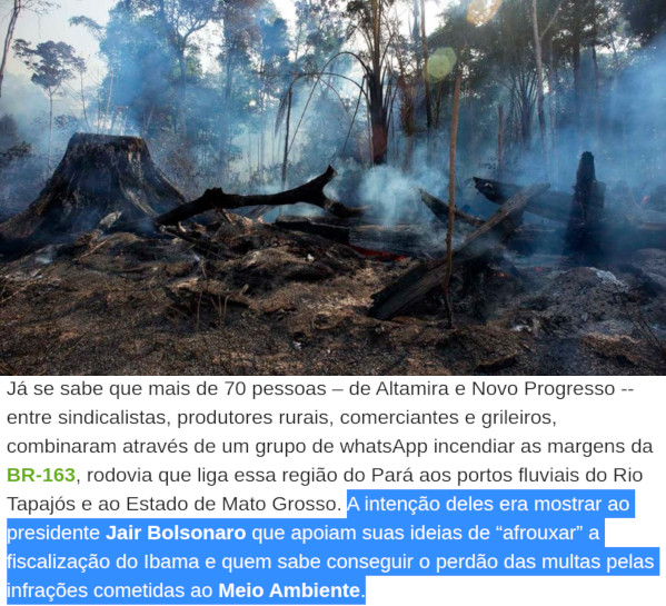Queimadas na Amazônia